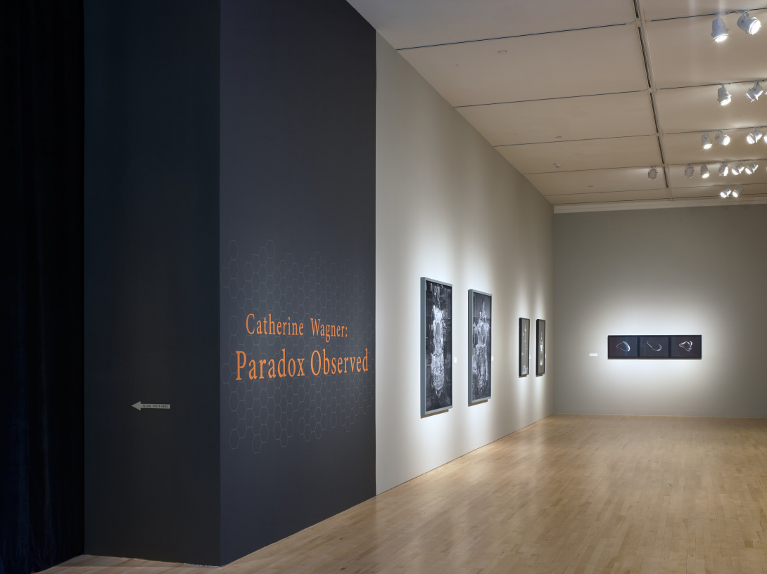 Pumpkin orange text on a graphite colored wall reads, "Catherine Wagner: Paradox Observed." Hanging inside the gallery space is art in grey scale images of various sizes. On the left, a white arrow points into another room separated by black curtains.