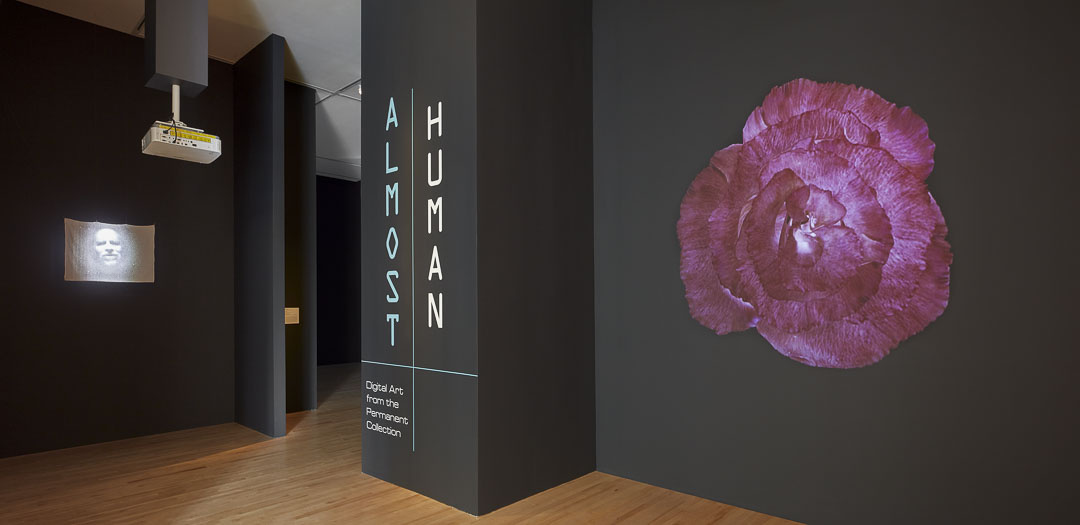 A gallery space with black walls and wooden floors. In the center reads, “Almost Human: Digital Art from the Permanent Collection." On the right a dark purple flower is displayed and to the left a projected image of a human face (seemingly in agony).